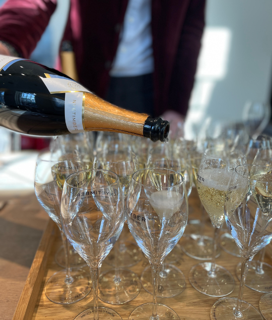 How to Host a Wine Tasting Event: The Corporate Edition (2026)